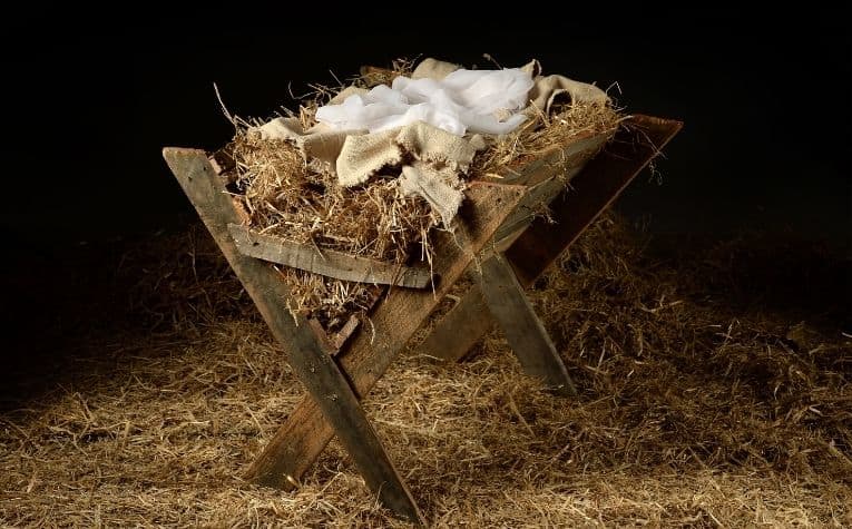 manger crib