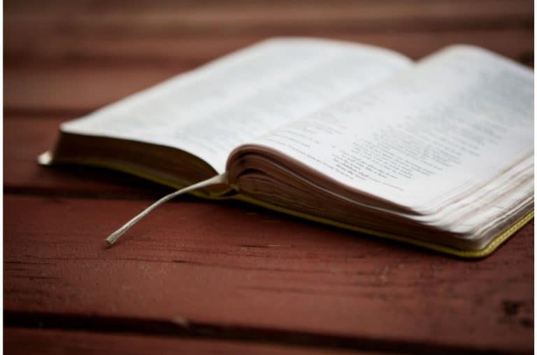 Methodist Bible