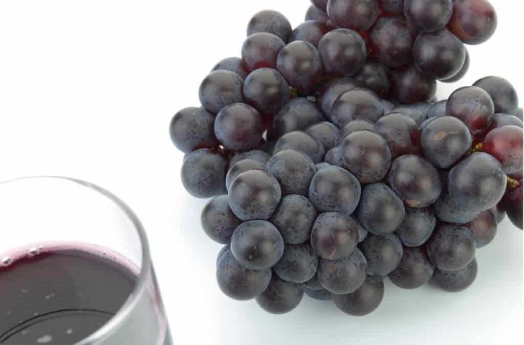 Why Do Protestants Use Grape Juice in Communion? Christianity FAQ