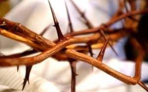 Wondering if Protestants Celebrate Lent? - Christianity FAQ