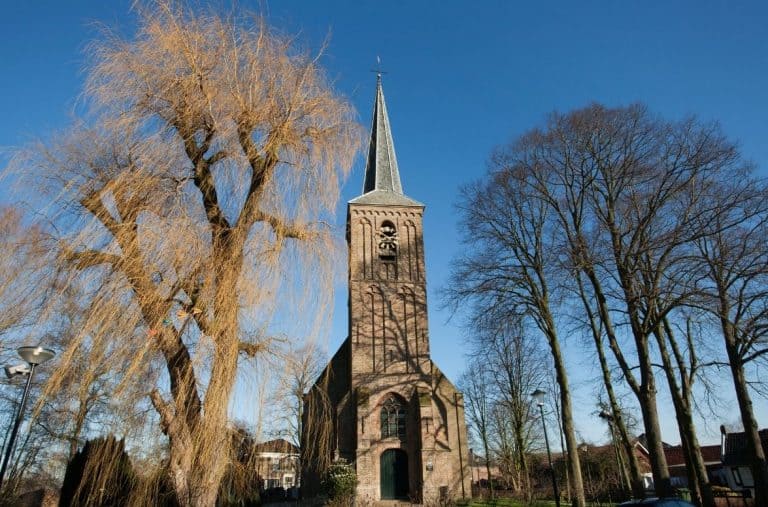 Protestant Reformed comparison