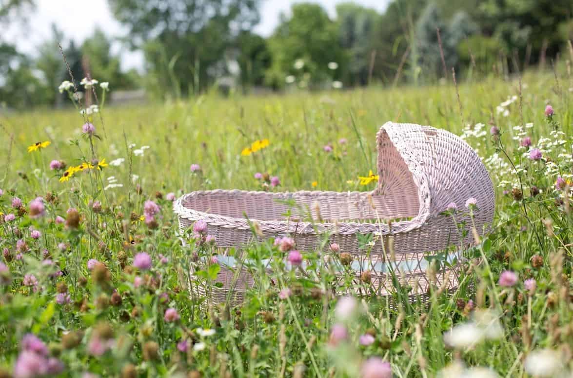 aborted babies heaven