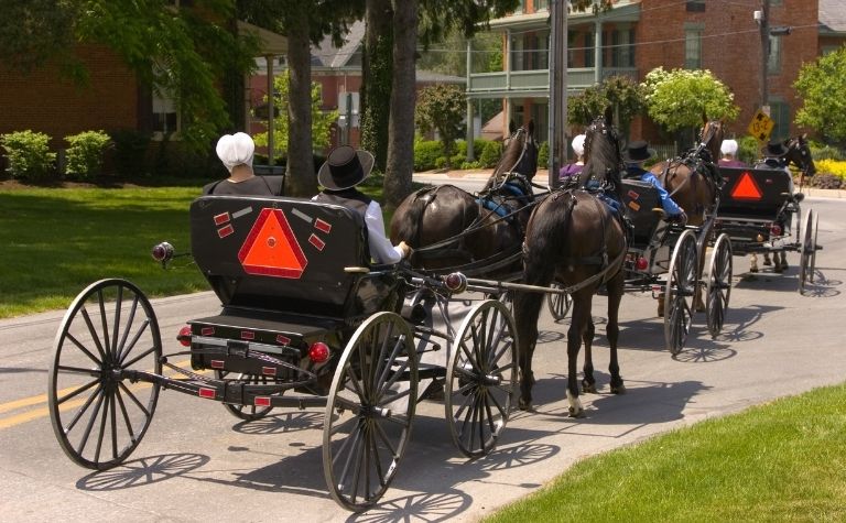 Amish buggies