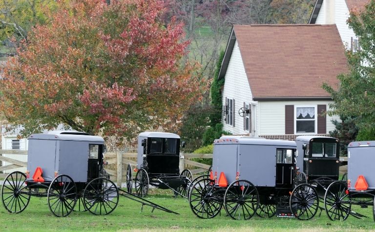 Amish buggies