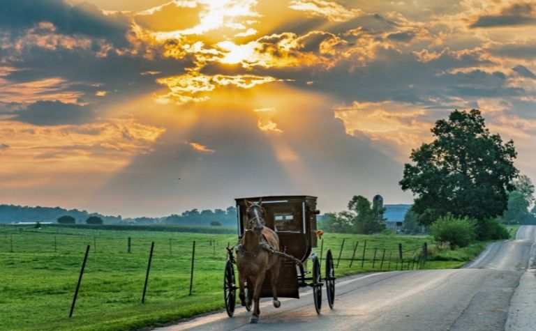 Amish people