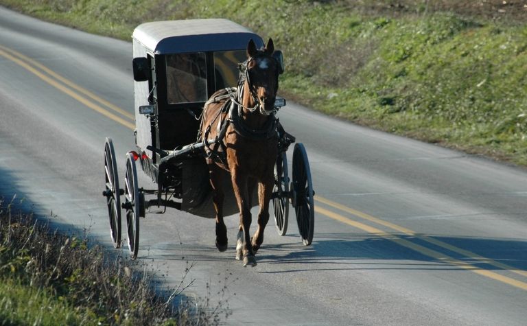 Amish horse and buggy