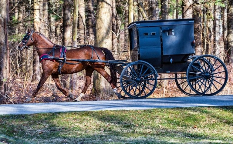 Amish alcohol