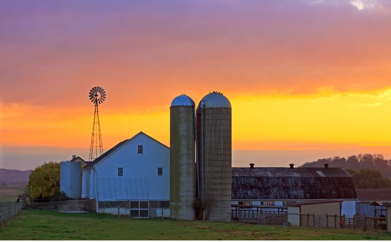 Amish farm