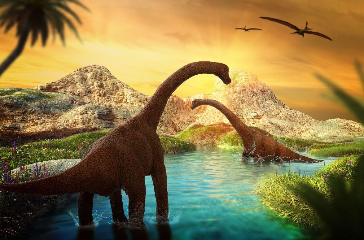 God created dinosaurs