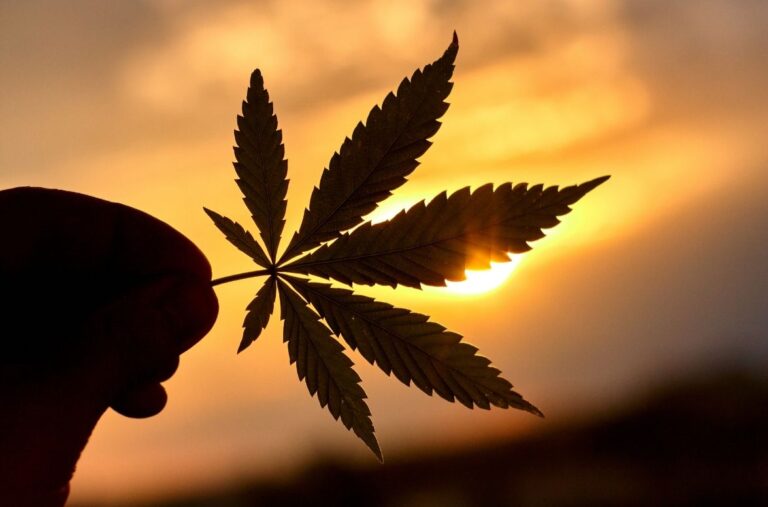 smoking marijuana weed sin