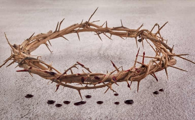 crown of thorns