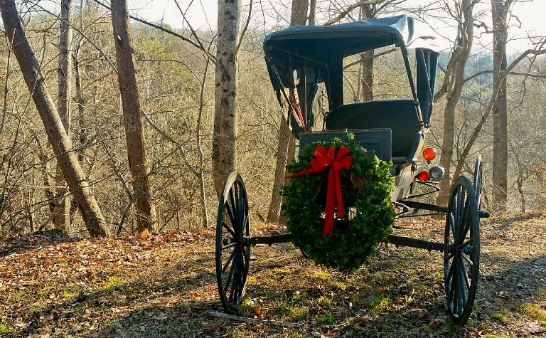 Amish Christmas