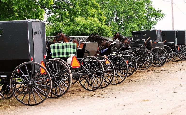 Amish Mennonite similarities