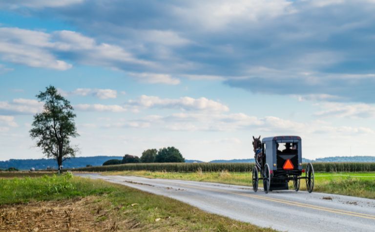 Amish Mennonite