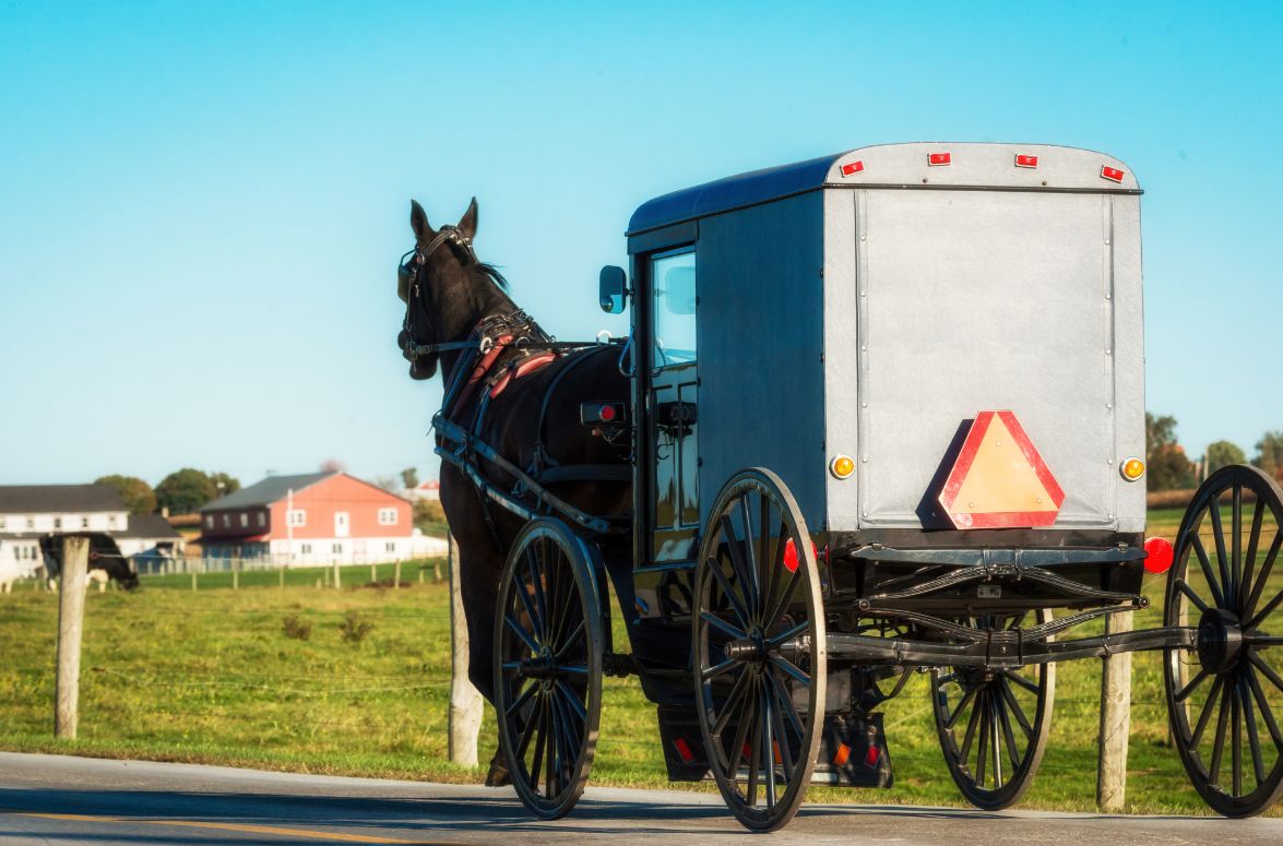 Amish language