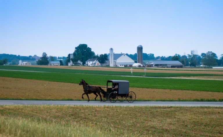 Amish buggy