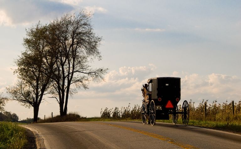 Amish shopping