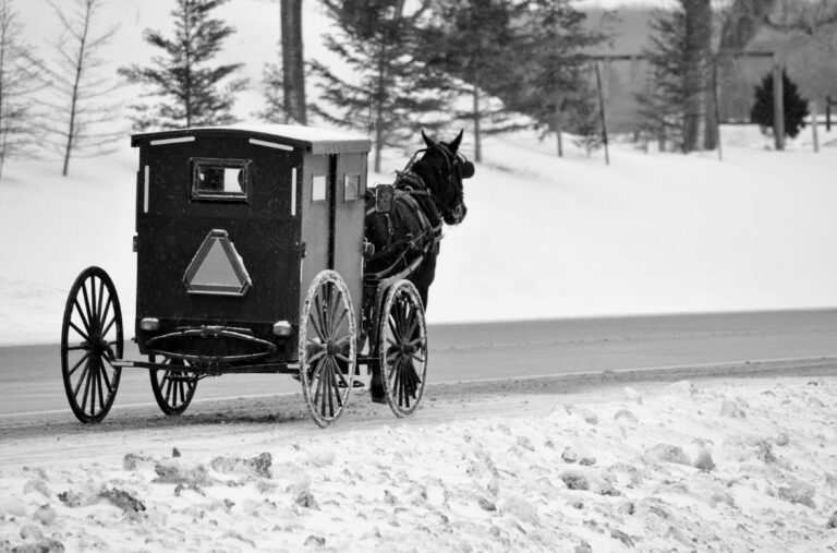Mennonites Christmas