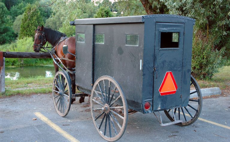 Mennonite buggy