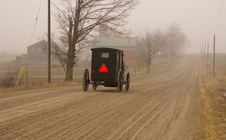 Mennonite buggy