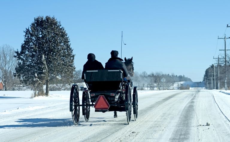 Mennonite buggy