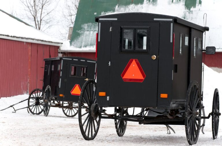 Mennonite buggy