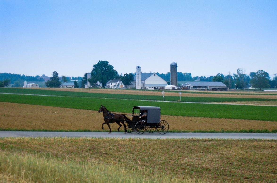 Amish women pregnant