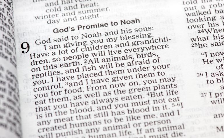 God's covenant with Noah