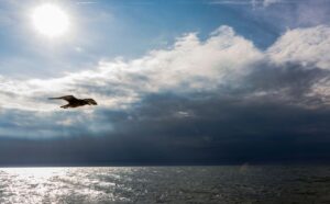 When Was Noah Born? [Genesis Explained] - Christianity FAQ