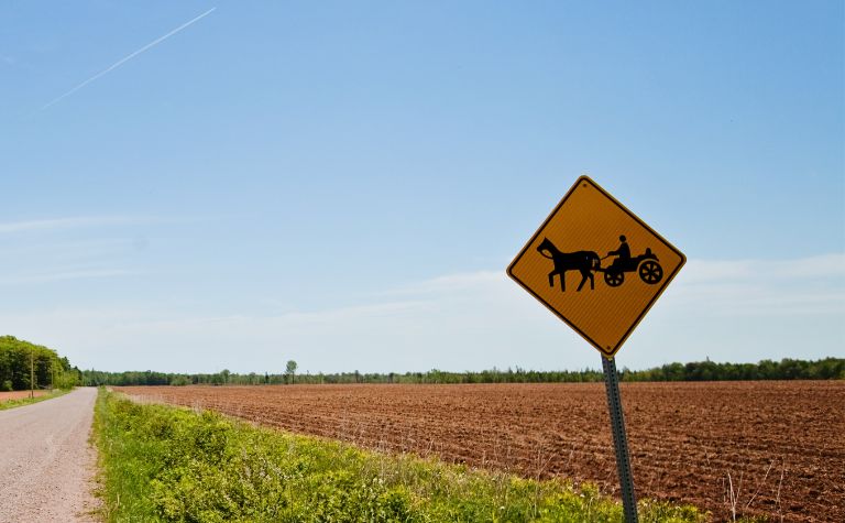 Amish buggie