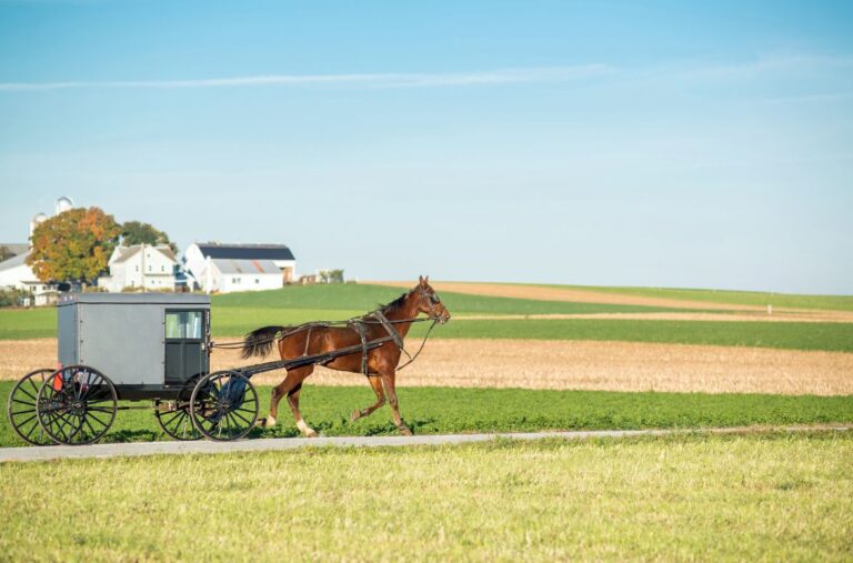 Amish friendly to outsiders