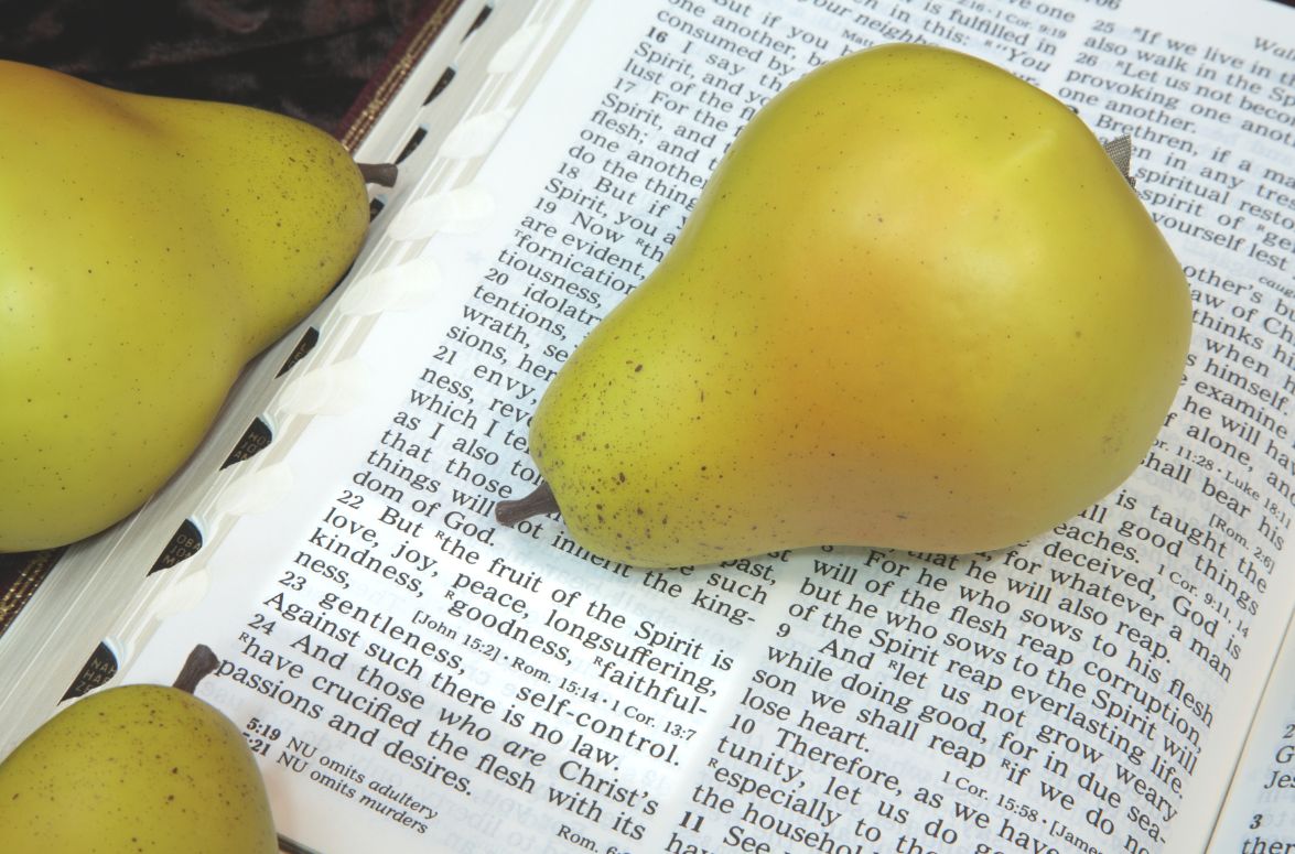 Fruit of the Holy Spirit