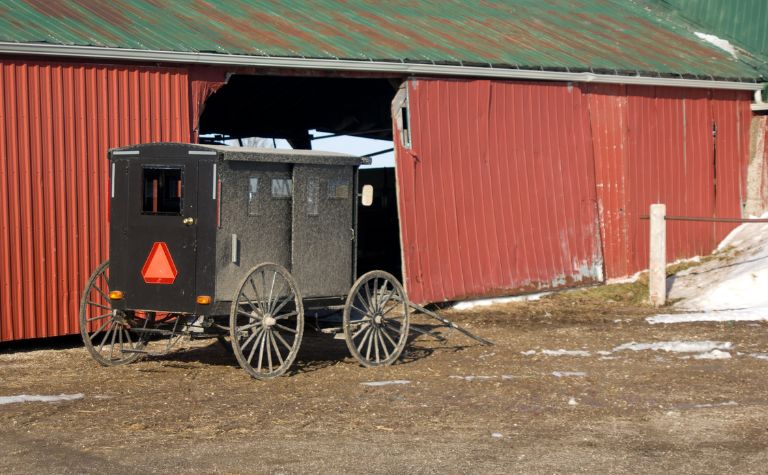 Mennonite buggy