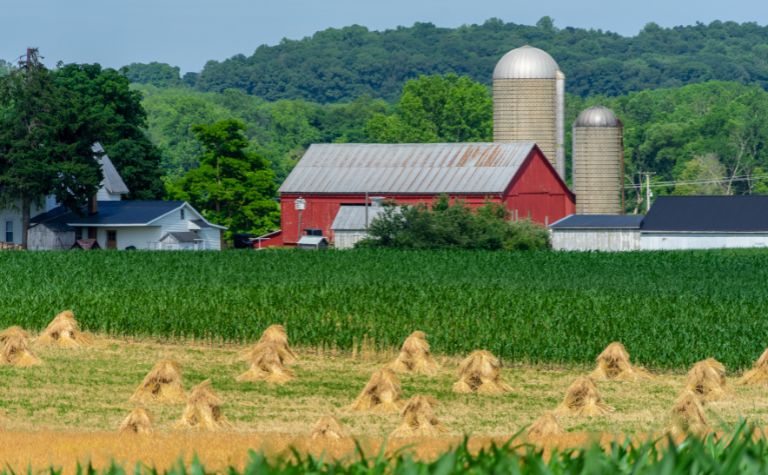 Mennonite farm