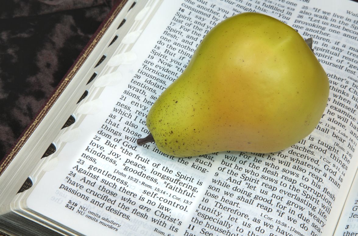 fruit of the Holy Spirit purpose