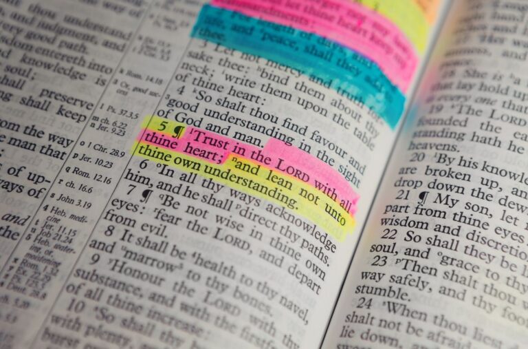 Chapters in the Bible