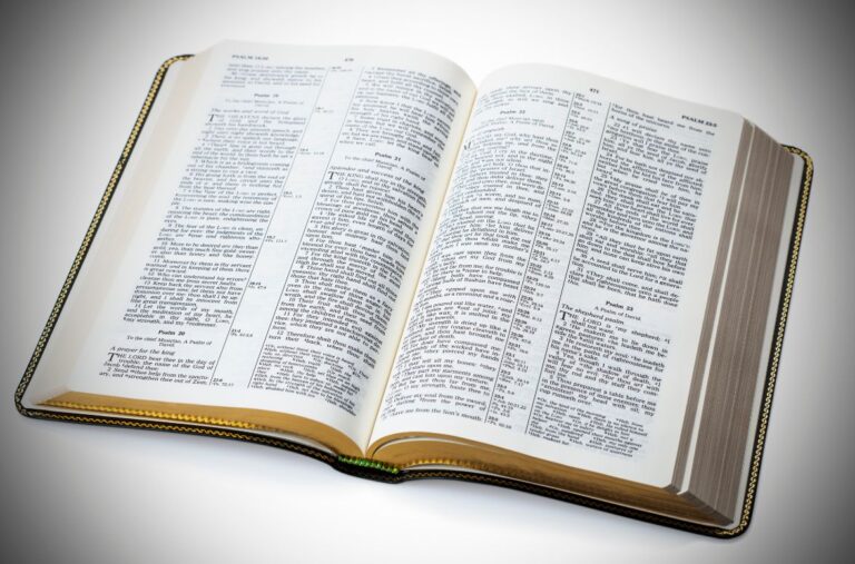 Bible pages