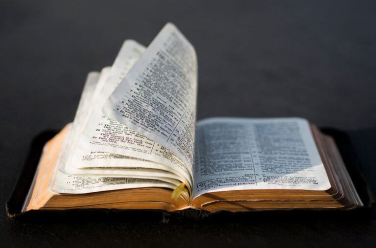 Books in the Bible