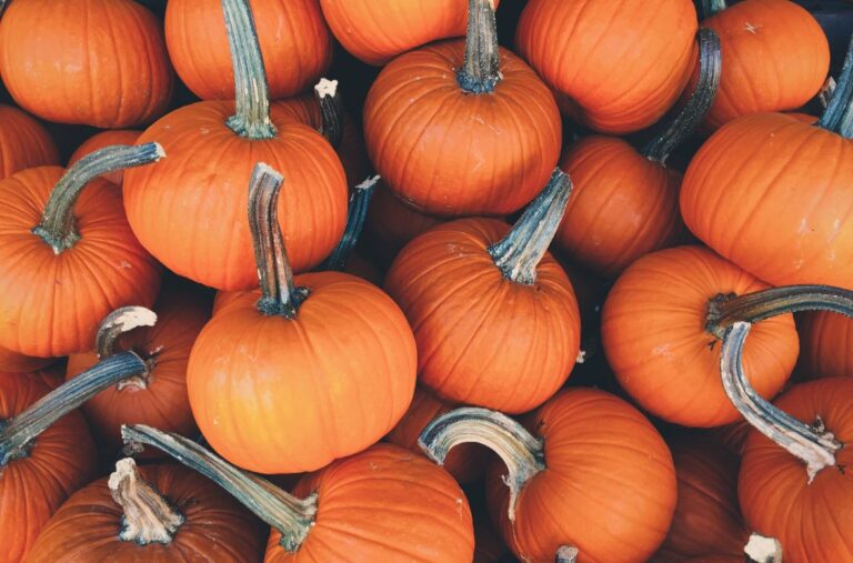 Halloween in the Bible