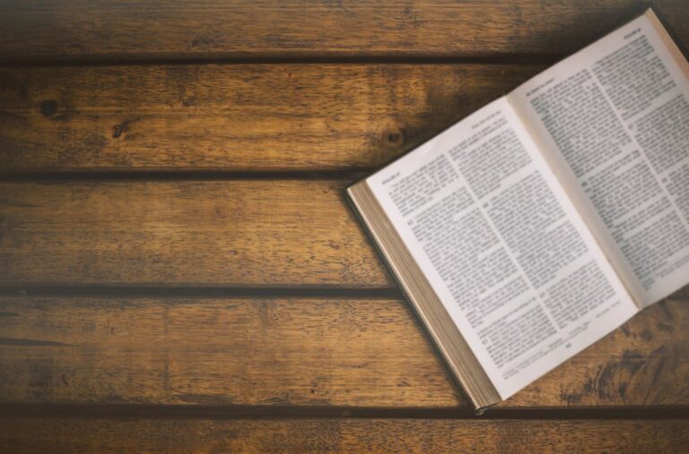 Sodomy in the Bible