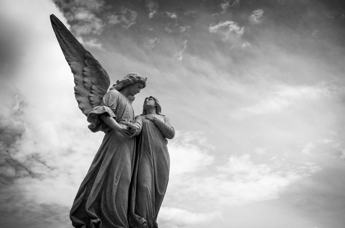 angels babies