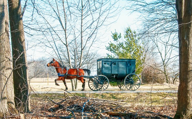 Amish community