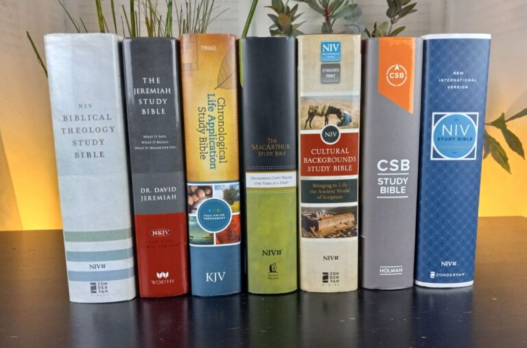 Christian Study Bibles