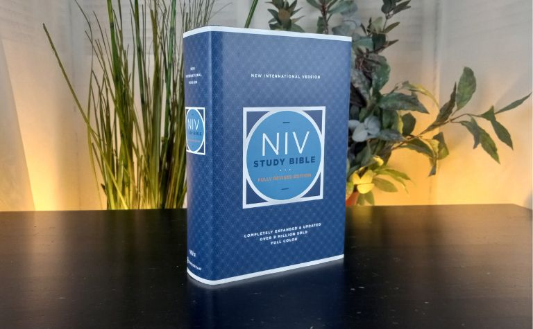 NIV Study Bible