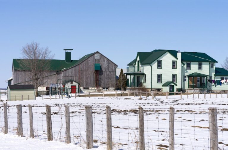 Mennonites