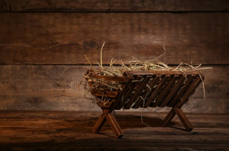 prophecies of Jesus birth